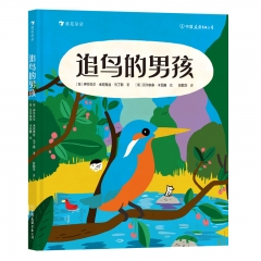 追鸟的男孩 [葡]伊莎贝尔·米尼奥斯·马丁斯 中国友谊出版公司 新华书店正版图书