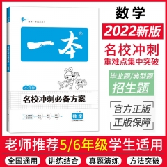 《开心》2023一本.名校冲刺必备方案.数学(小升初总复习）丁丽 著 湖南教育出版社