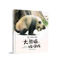 可爱的大熊猫：大熊猫，找呀找 唐亚明 著 四川少年儿童出版社 新华书店正版图书