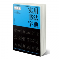 中学生实用书法字典 陈飞 江西美术出版社 新华书店正版图书