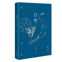 巨鲸：私人文学史 杨典 武汉大学出版社 新华书店正版图书
